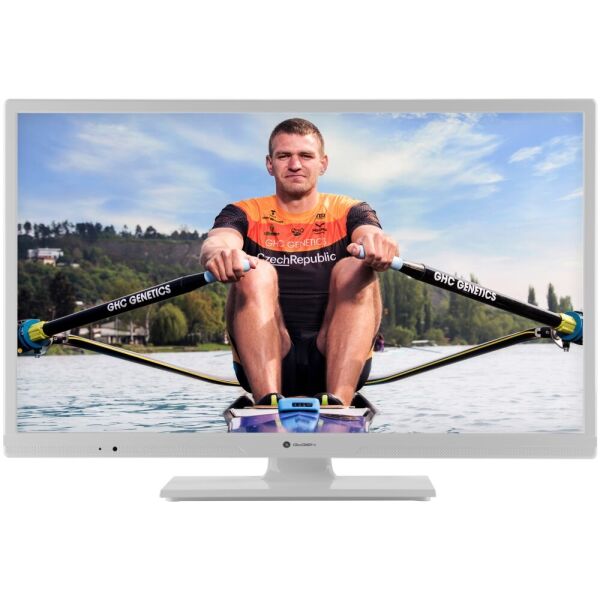 

GoGen TVH32R540STWEBW