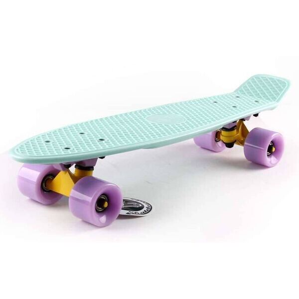

Скейтборд Пенни Борд Fish Skateboards penny board Pastel Мятный 57 см пенни борд (FP1)
