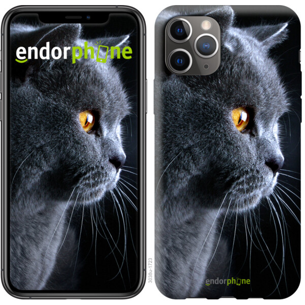 

Чехол на iPhone 11 Pro Max Красивый кот 3038t-1723, 2D пластик