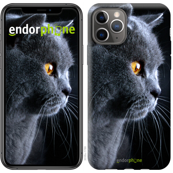 

Чехол на iPhone 11 Pro Красивый кот 3038t-1788, 2D пластик