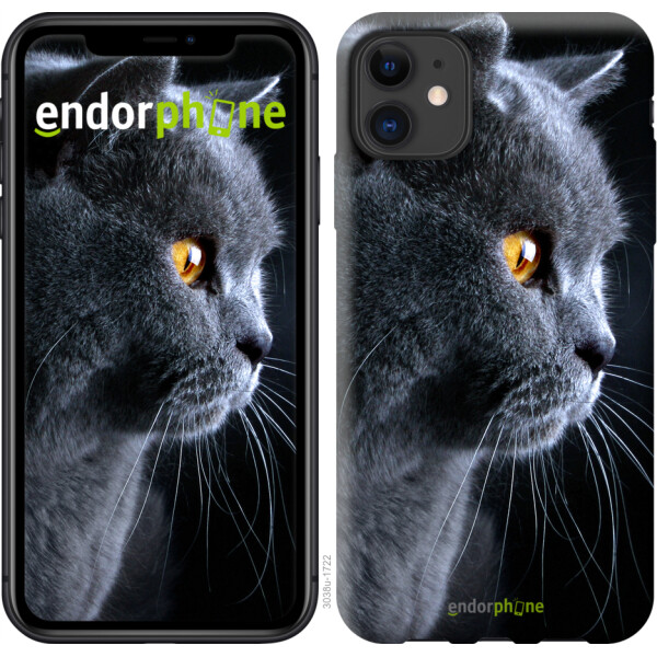 

Чехол на iPhone 11 Красивый кот 3038t-1722, 2D пластик