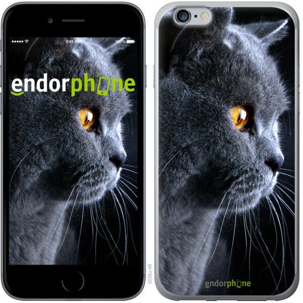 

Чехол на iPhone 6 Plus Красивый кот 3038t-48, 2D пластик
