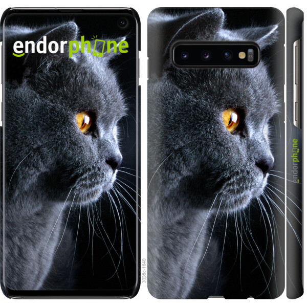 

Чехол на Samsung Galaxy S10 Красивый кот 3038m-1640