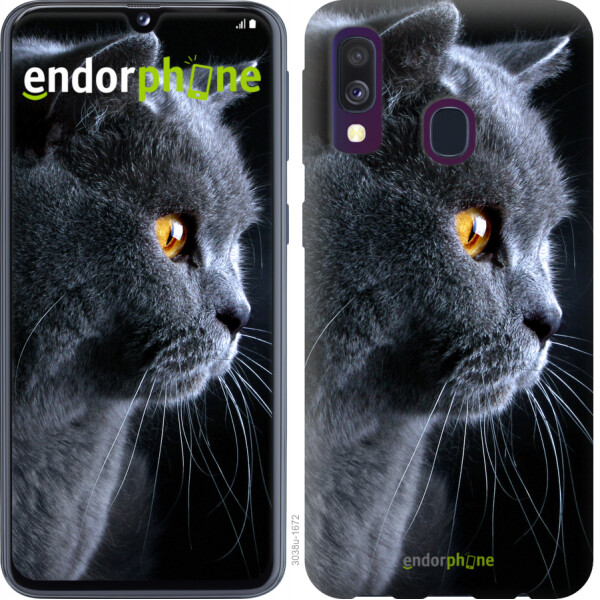 

Чехол на Samsung Galaxy A40 2019 A405F Красивый кот 3038t-1672