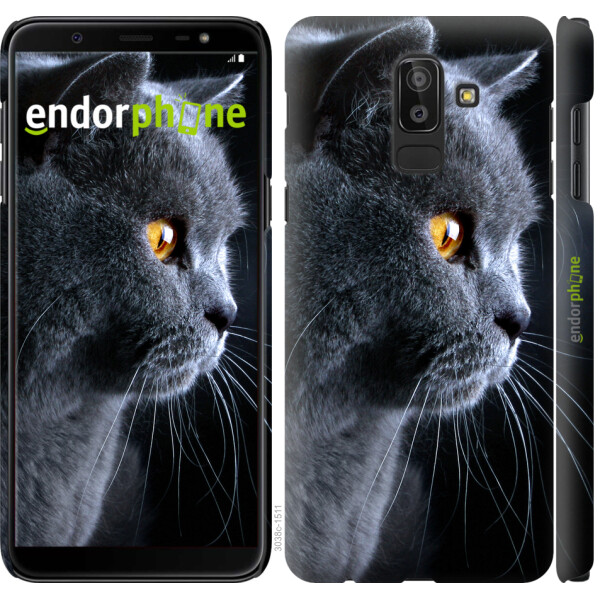 

Чехол на Samsung Galaxy J8 2018 Красивый кот 3038m-1511, Пластик матовый