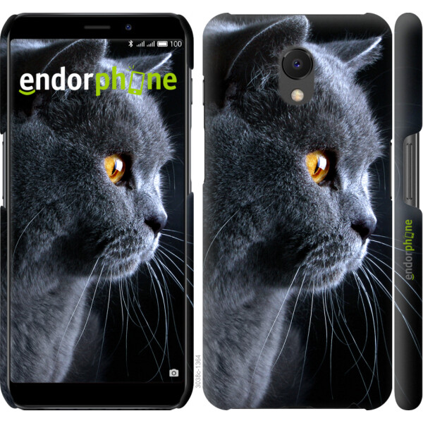 

Чехол на Meizu M6s Красивый кот 3038u-1364, Силикон