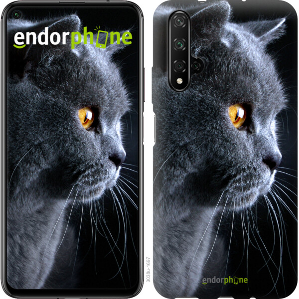 

Чехол на Huawei Honor 20 Красивый кот 3038u-1697
