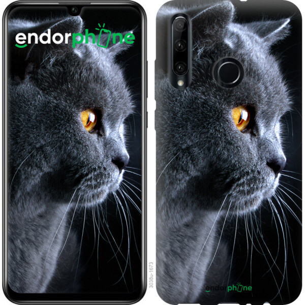 

Чехол на Huawei Honor 10i Красивый кот 3038u-1673