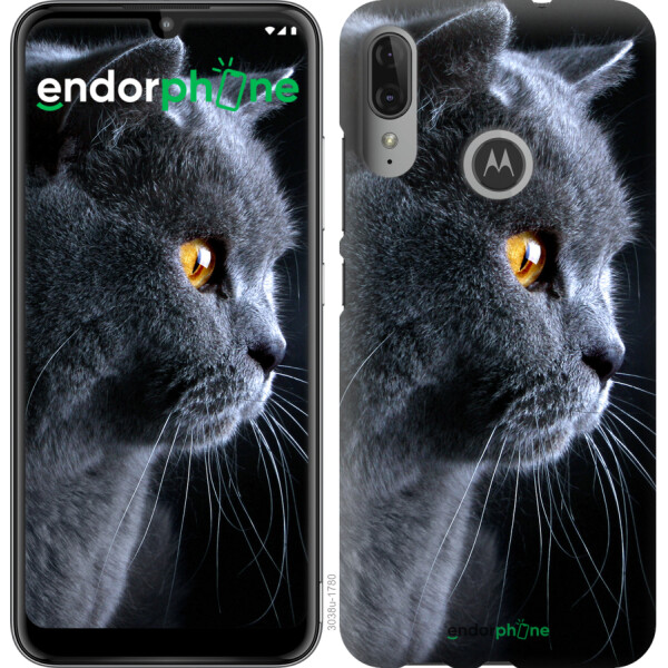 

Чехол на Motorola Moto E6 Plus Красивый кот 3038u-1780