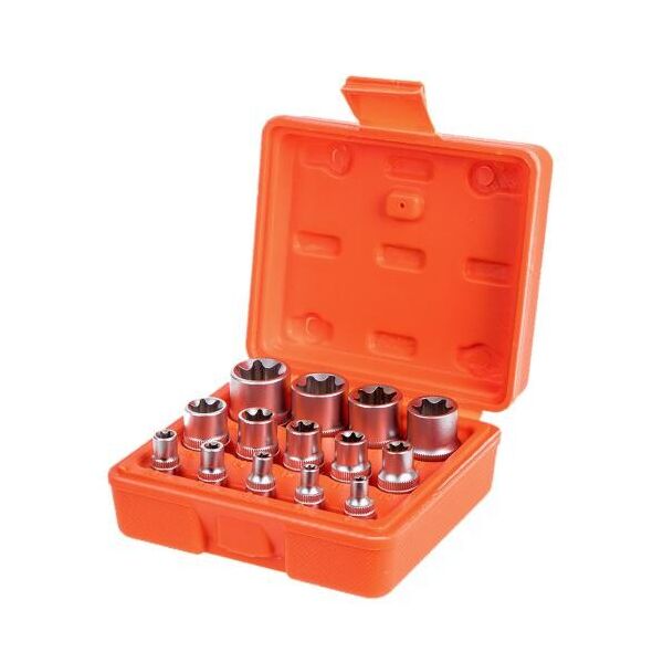 

Набор торц головок внешний торкс 1/4"-3/8"-1/2"DR, Е4-Е24, 14 предм. Alloid