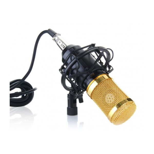 

Микрофон студийный M-800