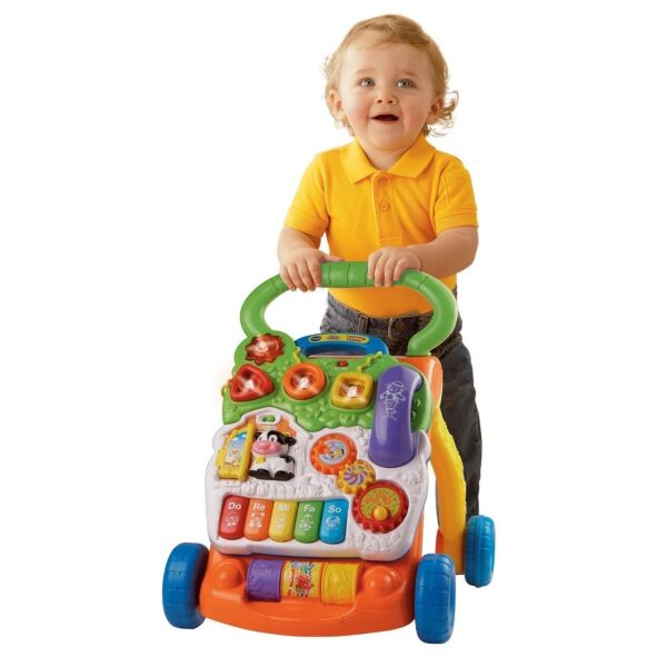 

Ходунки толкатели со съемной игровой панелью VTech экоупаковка (80-077000)