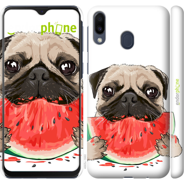 

Чехол на Samsung Galaxy M20 Мопс и арбуз 4665m-1660, Пластик матовый