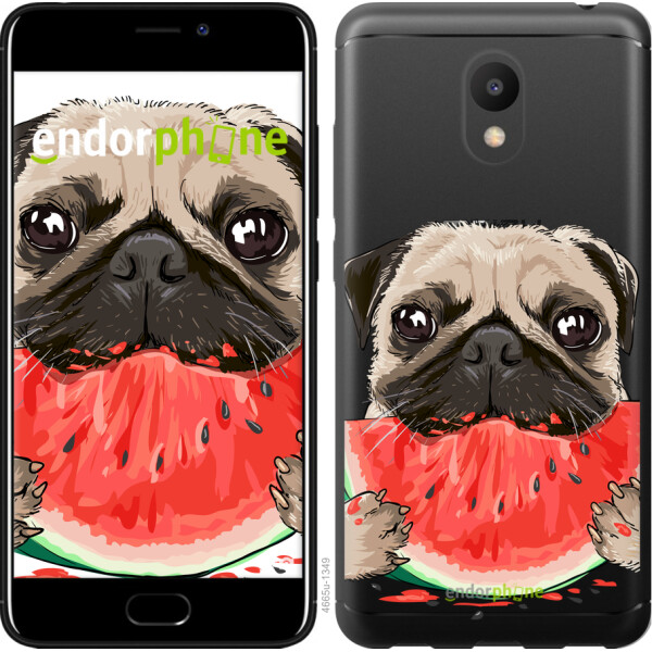 

Чехол на Meizu M6 Мопс и арбуз 4665u-1349, Силикон
