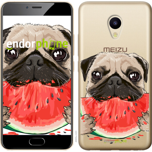 

Чехол на Meizu M5 Мопс и арбуз 4665u-420