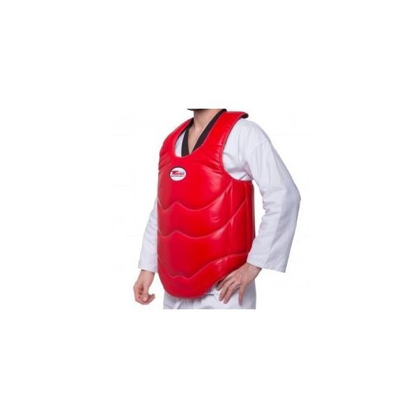 

Защита корпуса (жилет) для единоборств TWINS BOPL-2 (кожа, р-р M-XL, цвета в ассортименте)