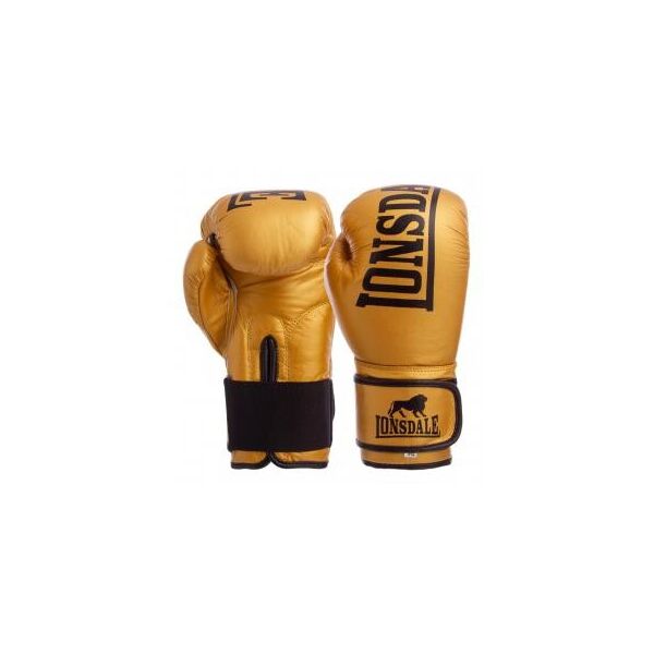 

Перчатки боксерские кожаные на липучке LONSDALE MA-6760 (р-р 10-12oz, цвета в ассортименте)