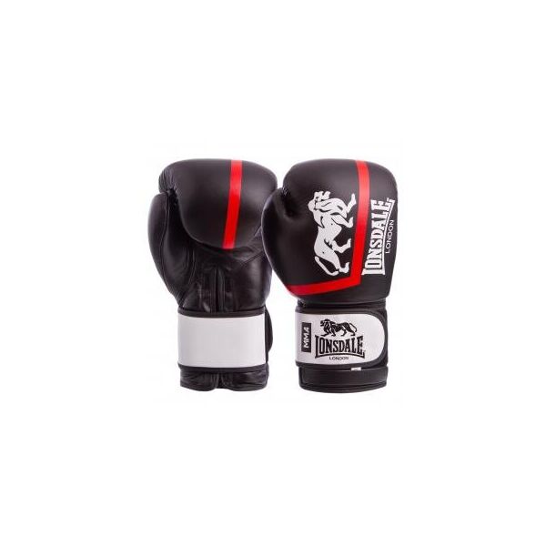 

Перчатки боксерские кожаные на липучке LND XPEED VL-8340 (р-р 10-12oz, цвета в ассортименте)