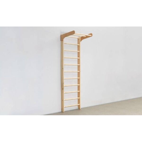 

Шведская стенка с несъёмным турником Kinder Wood-1-240 L-6791 (дерево, 80x240x62 см)