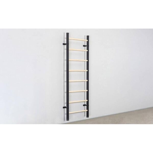

Шведская стенка Fitness Wood L-6789 (дерево, 80х238 см)