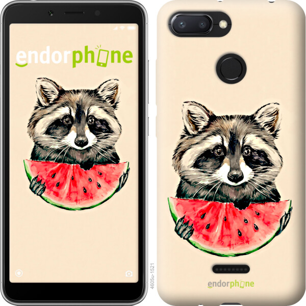 

Чехол на Xiaomi Redmi 6 Енотик с арбузом 4605m-1521, Пластик матовый