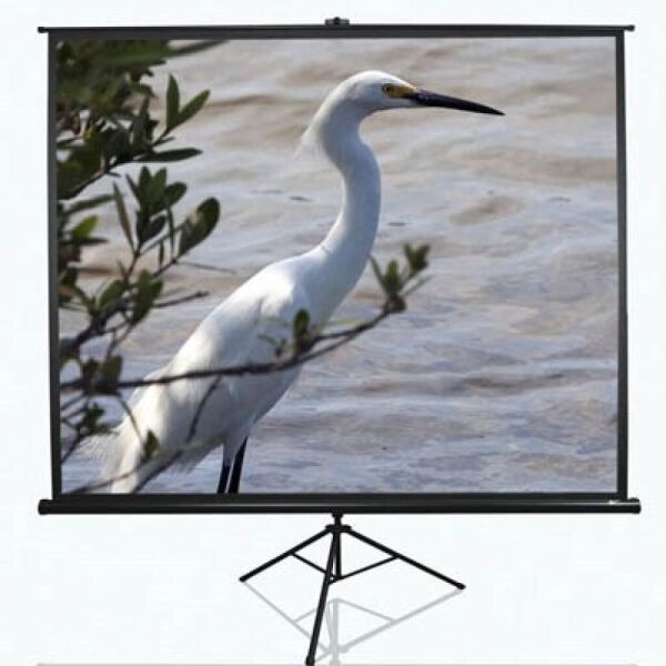 

Проекционный экран T84UWV1 ELITE SCREENS. 41681