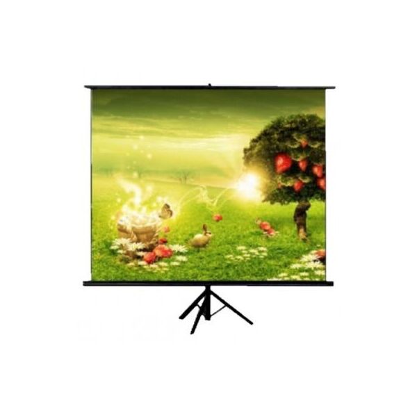

Проекционный экран ATRIA TR-NTSC-100D. 41547