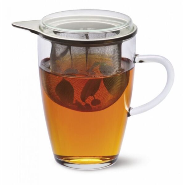 

Кружка заварочная 350 мл Simax Tea For One Color 179 SIM
