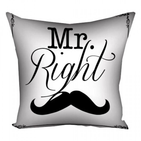 

Подушка FOR Mr. Right 40х40см (124918)