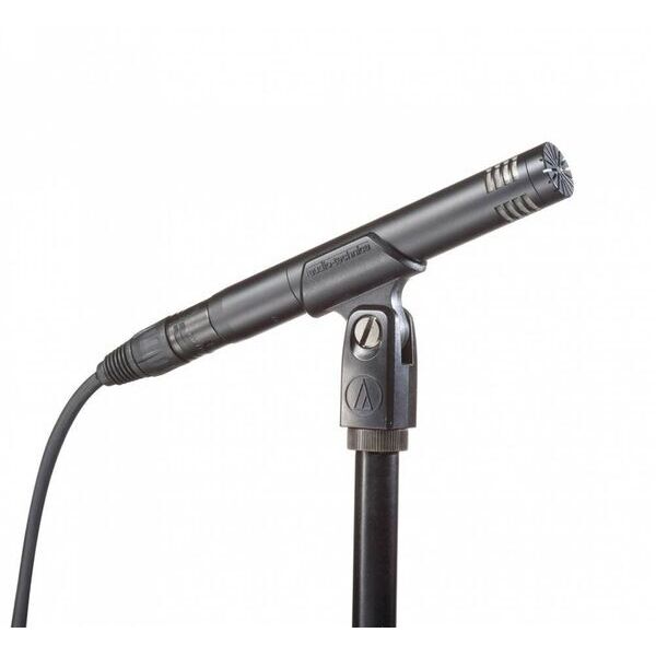 

Audio-Technica AT2031
