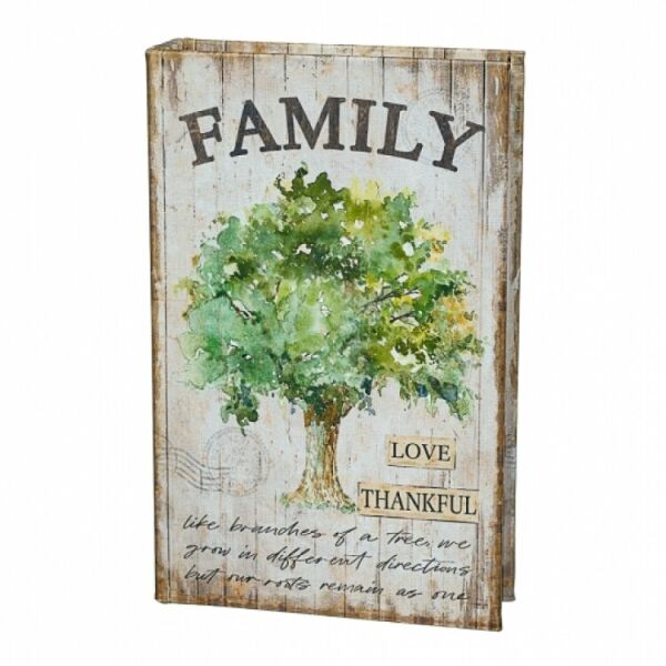 

Книга сейф FOR Family 26 см (125597)