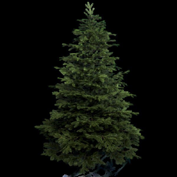 

Новогодняя искусственная елка EL «Натюрель» h 2.7 м Ø 160 см из пластика