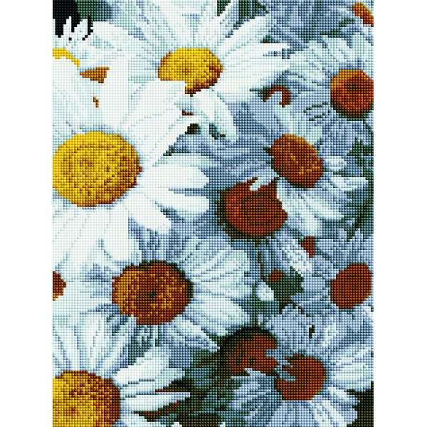 

Алмазная мозаика BRUSHME Ромашки 40x30 см.