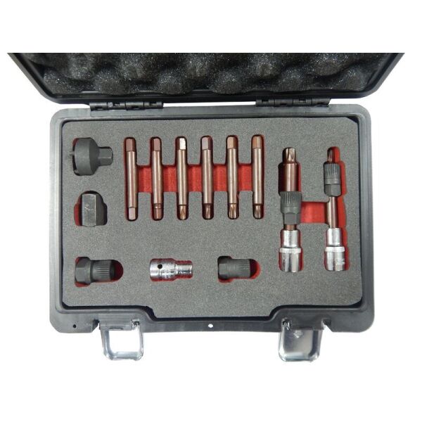 Набор для снятия шкивов генераторов 15 предметов(1/2" биты: М10, Т50х110мм,10мм; биты:М8, М10, Н8, Н10, Т40, Т50x75мм; битодержатель 1/2"хF10мм)в кейсе Premium Forsage F-04D2002D