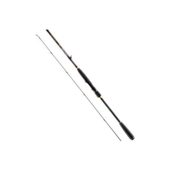 

Удилище Favorite Skyline NEW SKYA-762H 2.29m 16-50g Ex.Fast (1693.04.44)