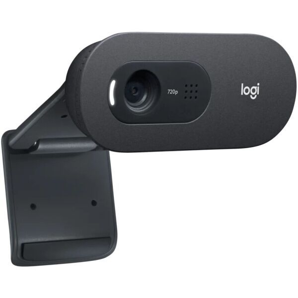 

Веб-камера Logitec Webcam C505e HD-BLACK (6645889)