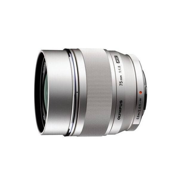 

Объектив Olympus ES-M2518 Silver (6135852)