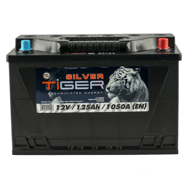 

Аккумулятор Tiger 125 Аh/12V Silver [TRUCK]