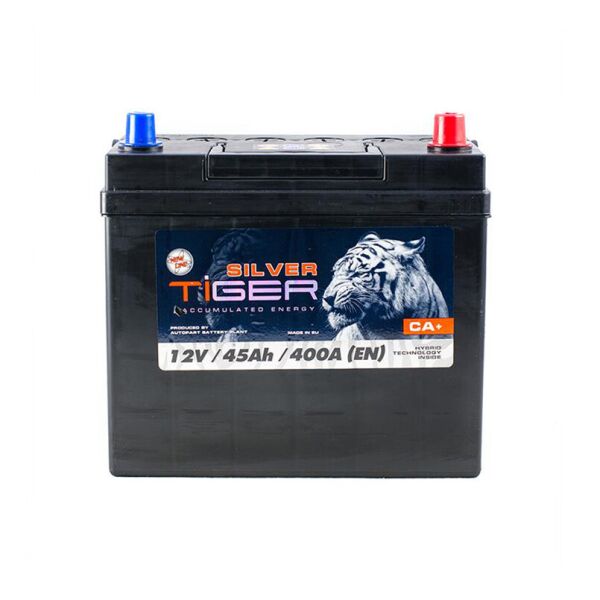 

Аккумулятор Tiger 100 Аh/12V Silver Japan [- +]