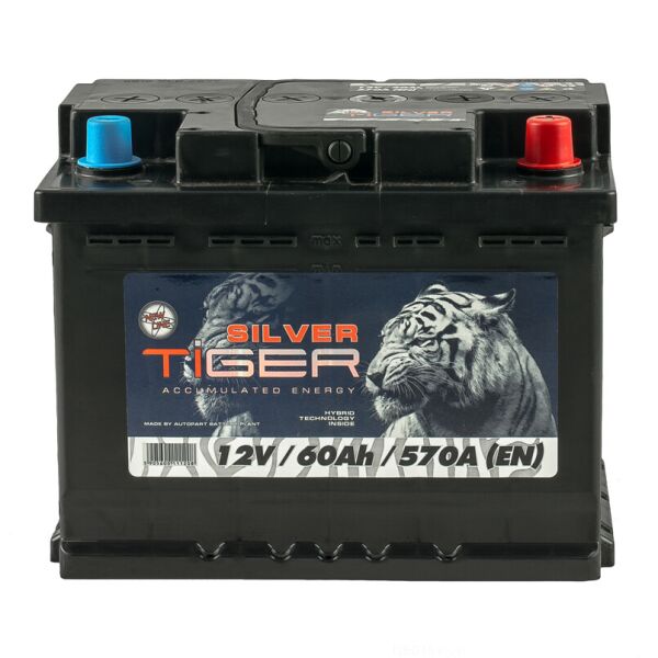 

Аккумулятор Tiger 60 Аh/12V Silver [- +]