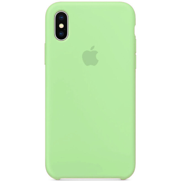 

Чехол-накладка Apple Silicone Case Apple iPhone X Green (bz_F_53961)