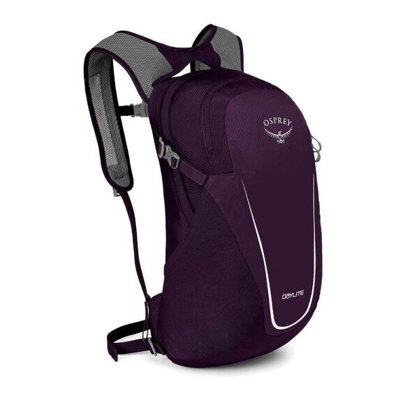 

Рюкзак Osprey Daylite 13 Amulet Purple (1054-009.2100)