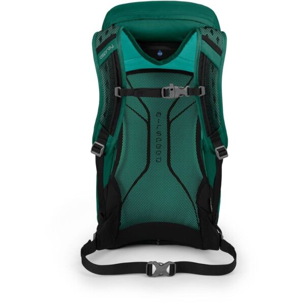 

Рюкзак Osprey Hikelite 32 Aloe Green (1054-009.1912)