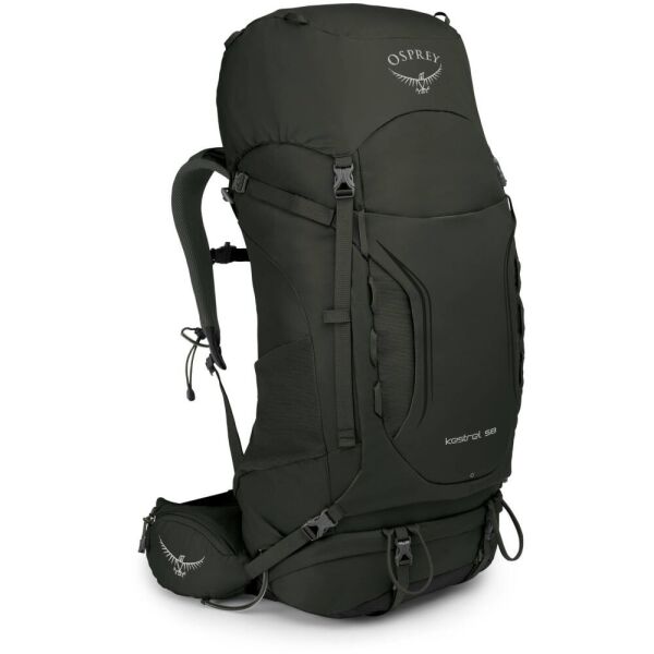 

Рюкзак Osprey Kestrel 58 Picholine Green S / M (1054-009.1854)