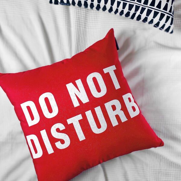 

Подушка декоративная шелковая Presentville Do not disturb 45x45 см