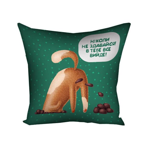 

Подушка с принтом Presentville Ніколи не здавайся! В тебе все вийде! 30x30 см