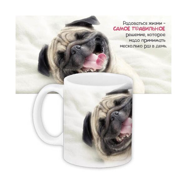 

Кружка с принтом Presentville Радоваться жизни – самое правильное решение 330 мл