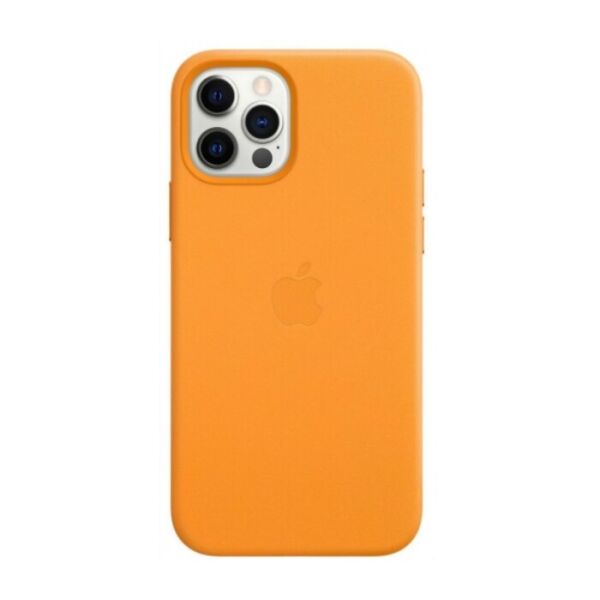 

Чехол (Leather Case) для iPhone 12 Pro Max with magsafe California Poppy