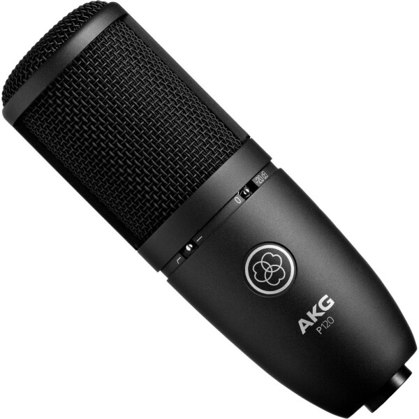 

AKG P120