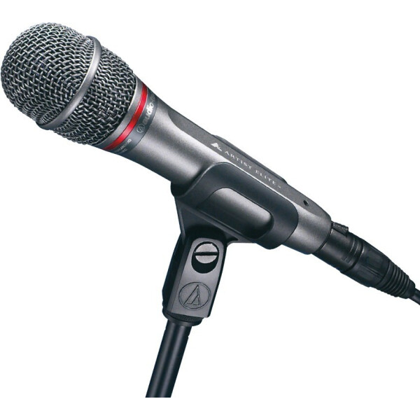 

AUDIO-TECHNICA AE6100